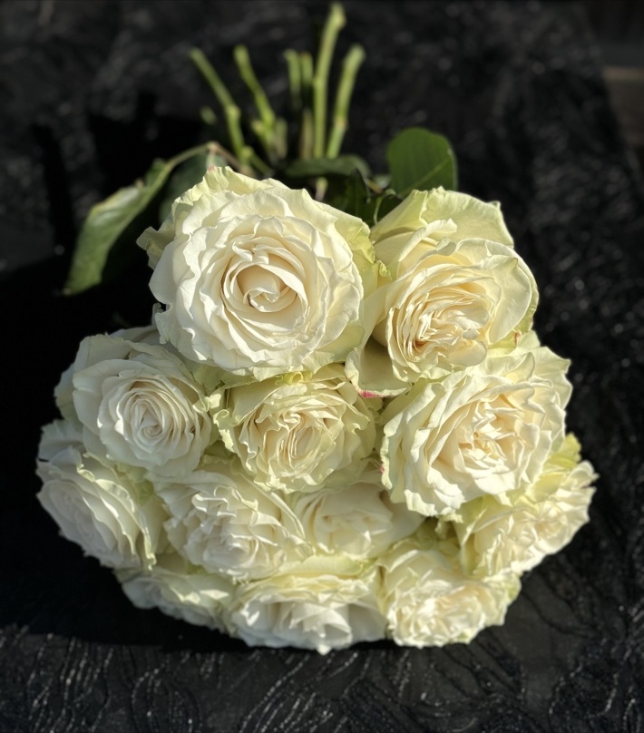 Botanical detail